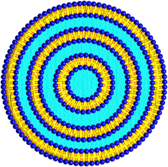 liposomes